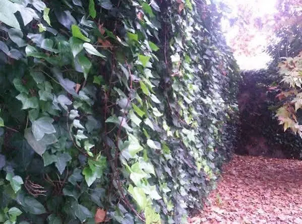 Affittacamere Ramon Y Cajal Valladolid